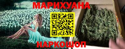 прущие грибы Усть-Джегута