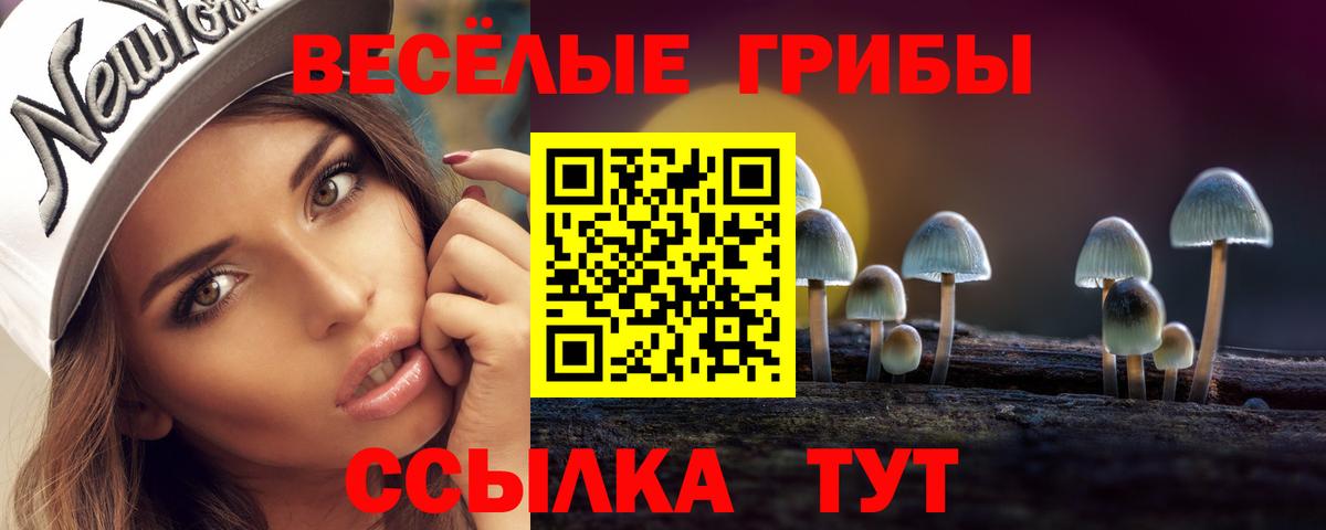 Галлюциногенные грибы Magic Shrooms  Вход с VPN  Мелеуз 